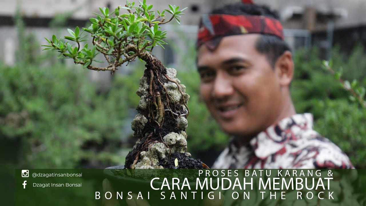 Belajar Mudah Membuat Santigi On The Rock - KUPAS TUNTAS