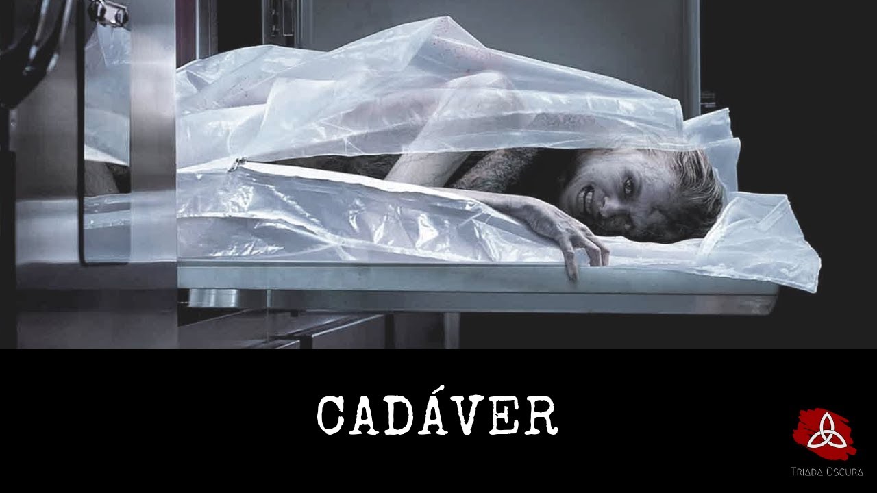 #JuevesDeTerror Rese&ntilde;a/Cr&iacute;tica Cad&aacute;ver