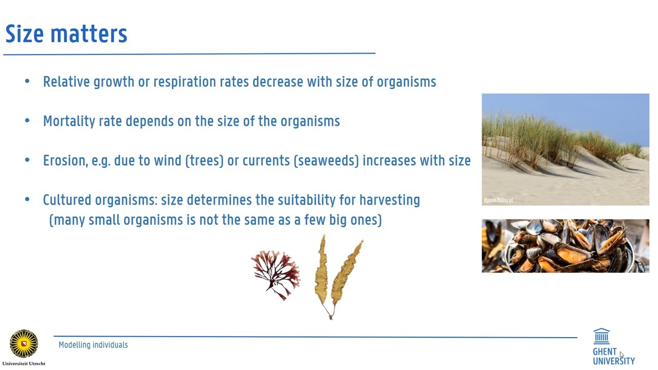 Ecological and Environmental modeling: modeling individuals