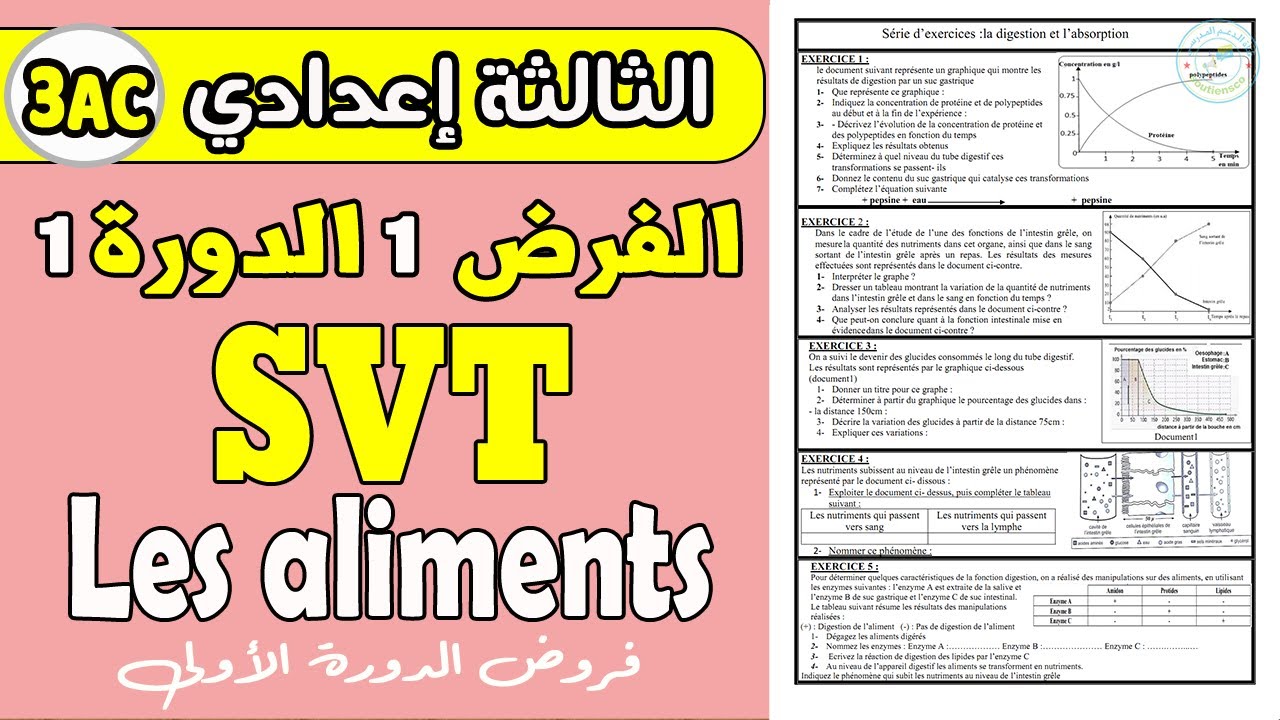 تمارين مهمة للاستعداد للفرض الأول|série d’exercices  les aliments 3AC SVT