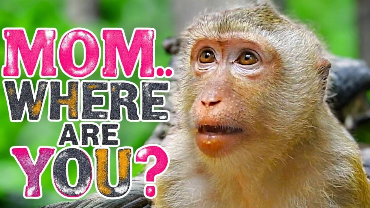 You&rsquo;ll Cry Watching This 😢 RAINBOW Calls Mom LIBBY After Long Separation