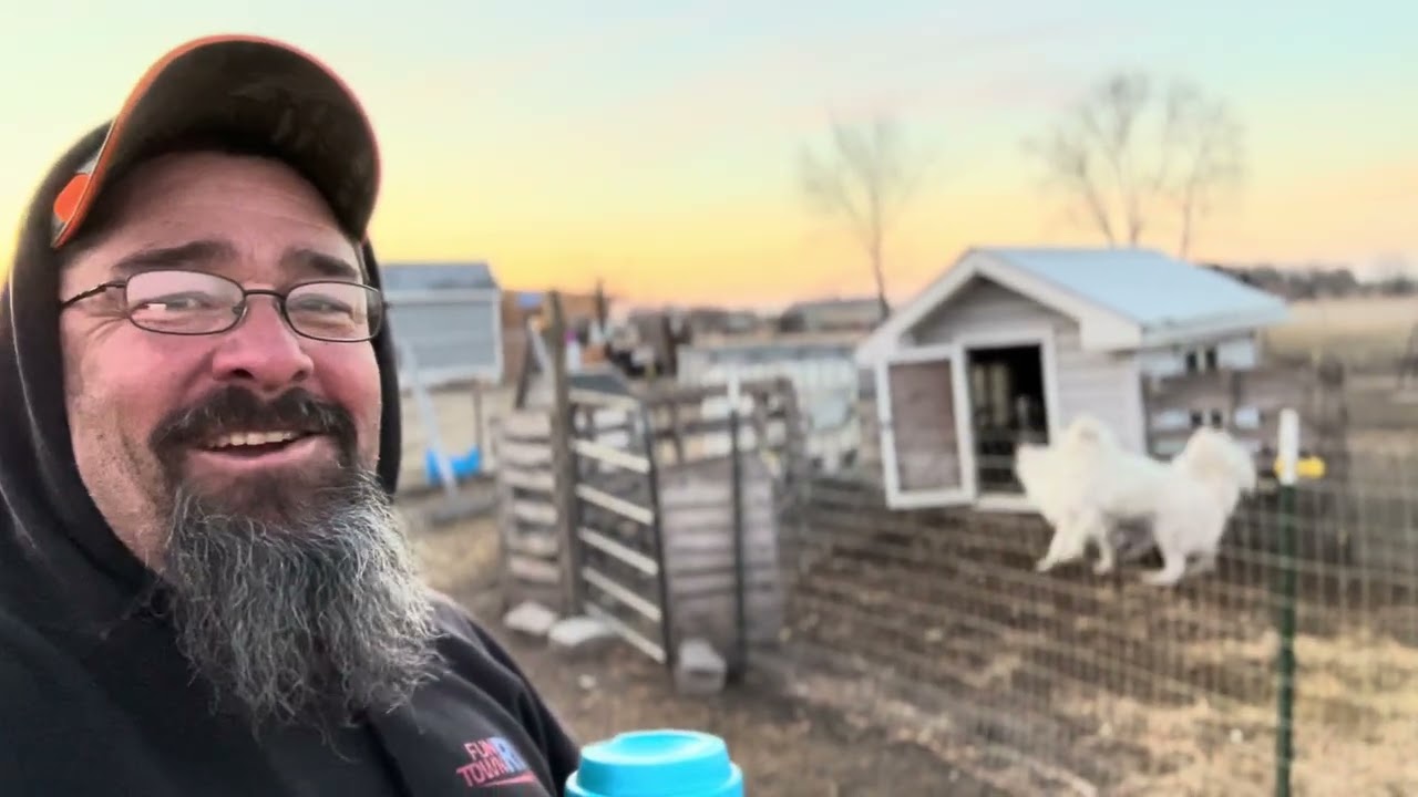 Checking in on the Nubian addition