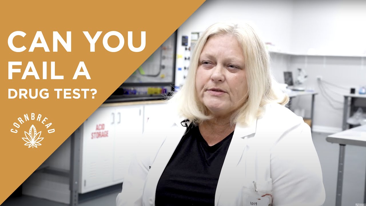 Can CBD Make You Fail a Drug Test? | Dr. Leslie's Lab