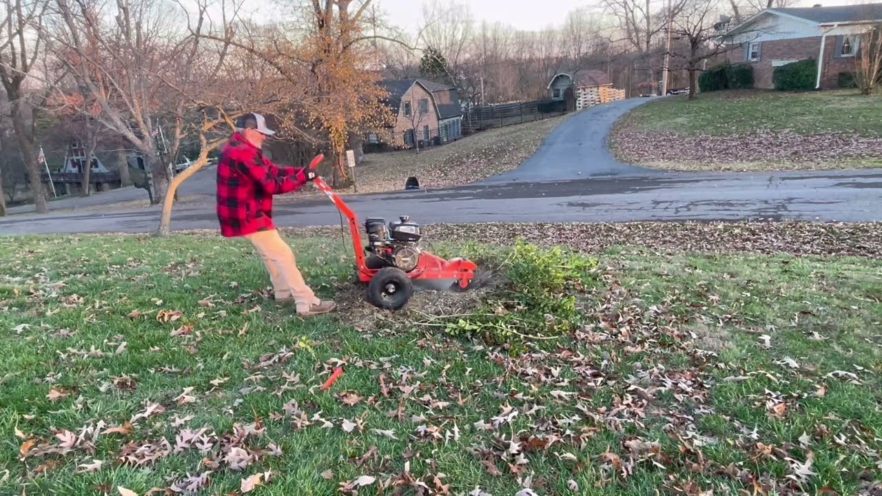 DK2 Power stump grinder in action on a maple and holly stump