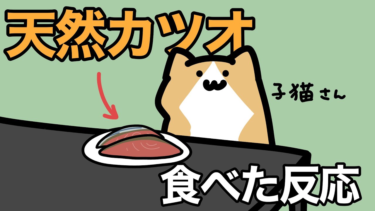 はじめて天然物のカツオを食べたときの反応がこちらです