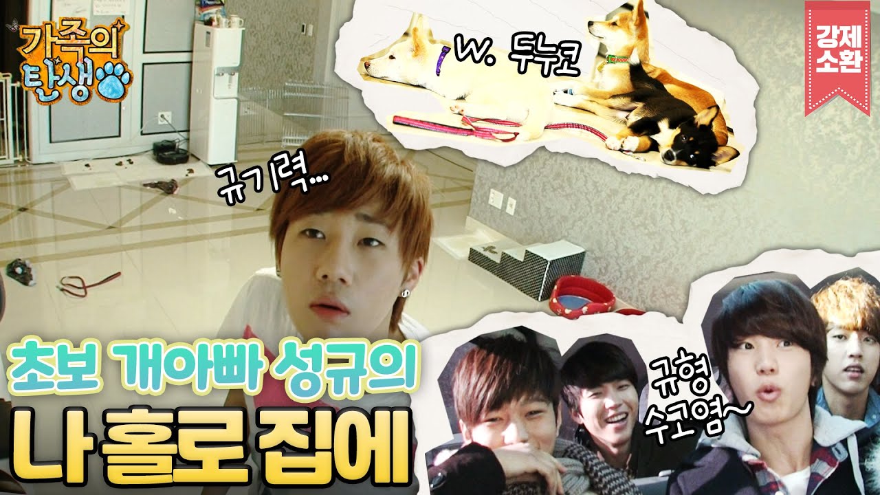 강아지가 무섭지만 개아빠입니다..🐶 리다규`ワ′ 두고 숙소 탈출한 인피니트(INFINITE)💦 성규와 두.누.코🐾의 아찔한 사각관계(?) | #강제소환 | KBS 방송