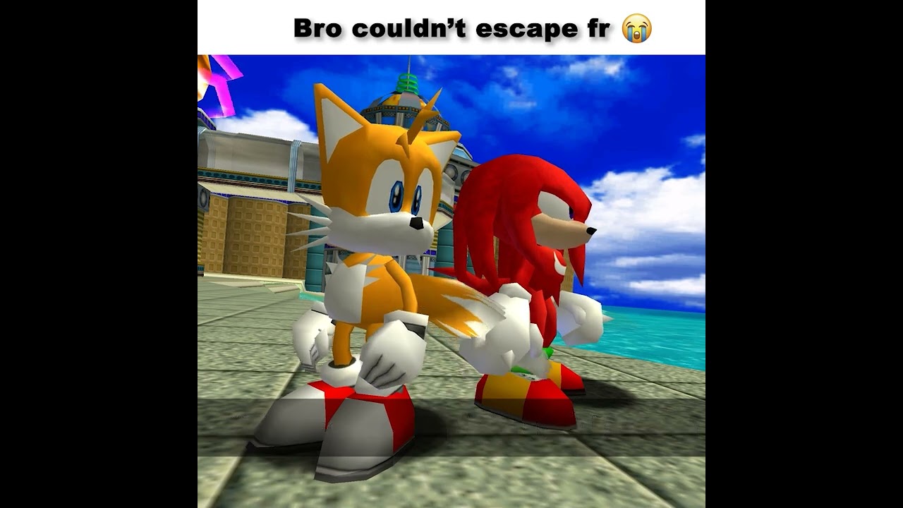 Sonic gets a job  #sonic #memes