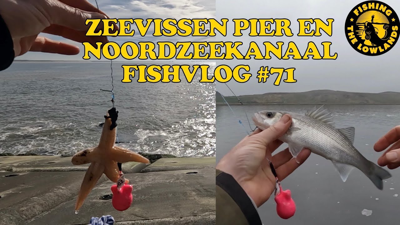 Zeevissen vanaf de pier en op het Noordzeekanaal. FishVlog #71
