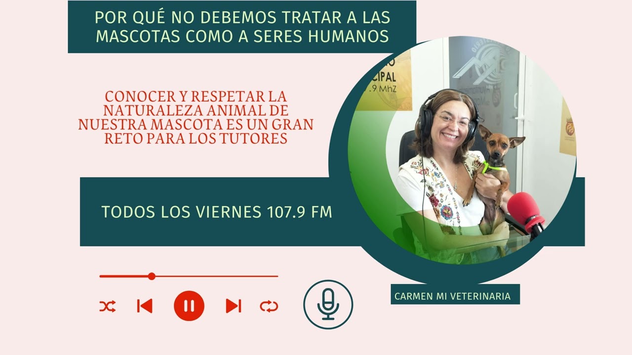 ¿Tratamos a las mascotas como a seres humanos?