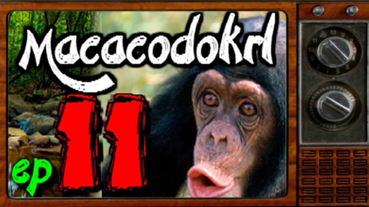 Ep.11 #macacodokrl 🐵 ↪ Summoners War BR