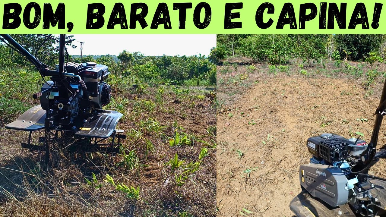 CAPINANDO com o TRATORITO. Bom e muito barato! Veja onde comprar. Adeus gasto com mão de obra!