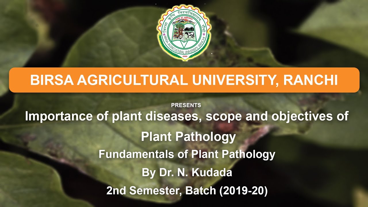 Importance of plant diseases, scope and objectives of plant pathology| By. Dr. N. Kudada
