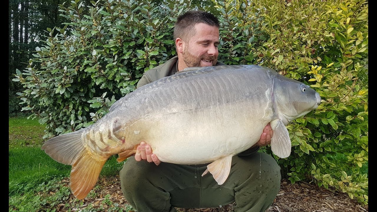 Peche a la carp&eacute; - Le montage souple avec Danny Stanmore