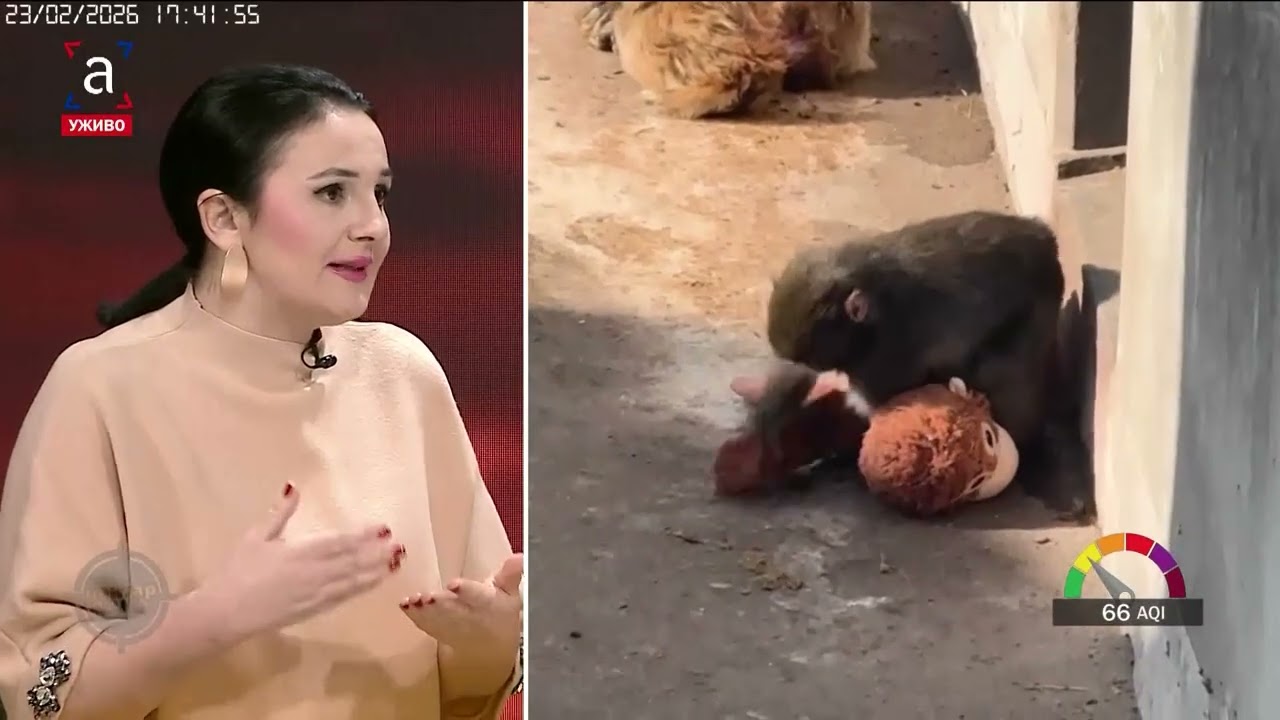 Gosti Centra dana: prof. dr Ranka Perić Romić i sociolog Jadranka Berić