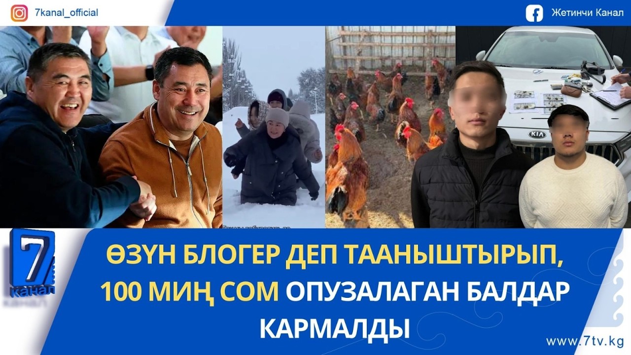 ТАЛАСТА МУГАЛИМДЕР БЕЛДЕН КЕЛГЕН КАРДЫ ЖИРЕП ОЛИМПИАДАГА БАРЫШКАН