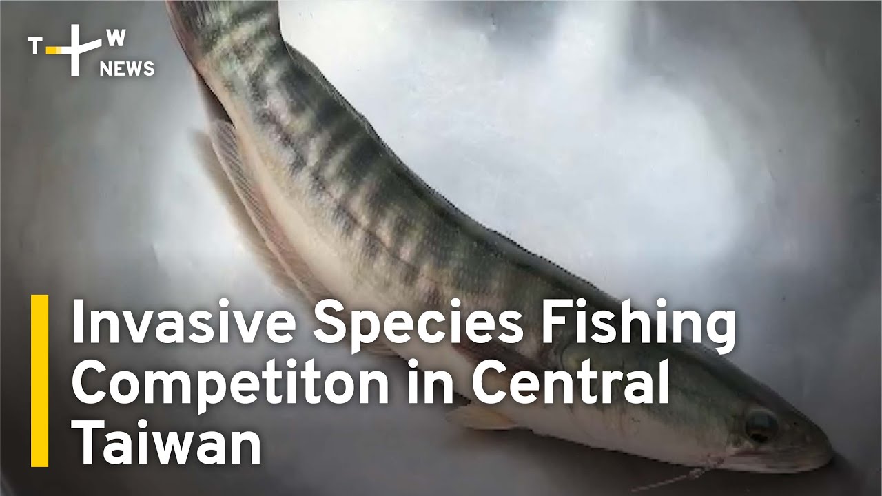Invasive Species Fishing Competition in Central Taiwan | TaiwanPlus News
