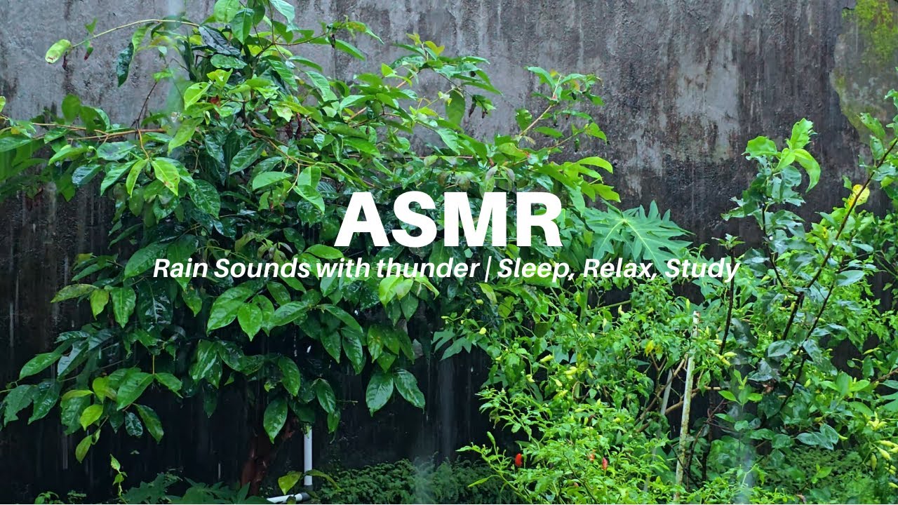 ASMR Rain Sounds and Thunder for Sleep, Relaxation, Study - 3 Hours