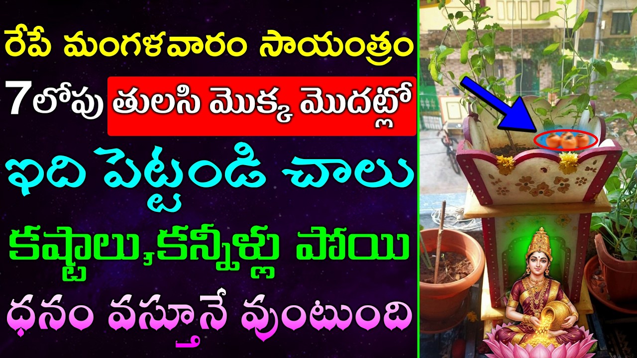 రేపే మంగళవారం సాయంత్రం 7లోపు తులసి మొక్క మొదట్లో  ఇది పెట్టండి చాలు కష్టాలు,కన్నీళ్లు పోయి ధనం