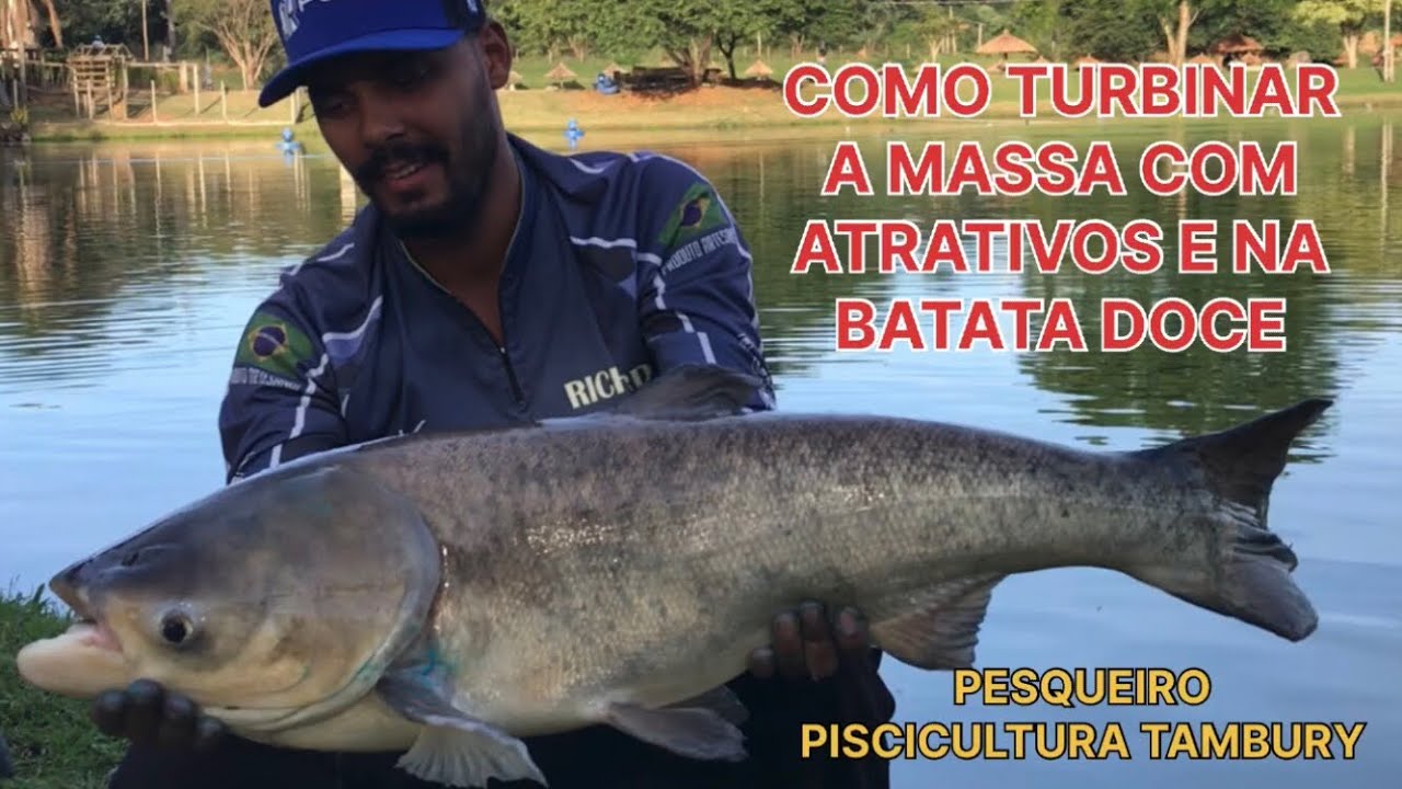 MASSA PARA CARPA CABEÇUDA COMPLETA! ATRATIVOS, ESSÊNCIAS / PESCARIA HARD NO TAMBURY
