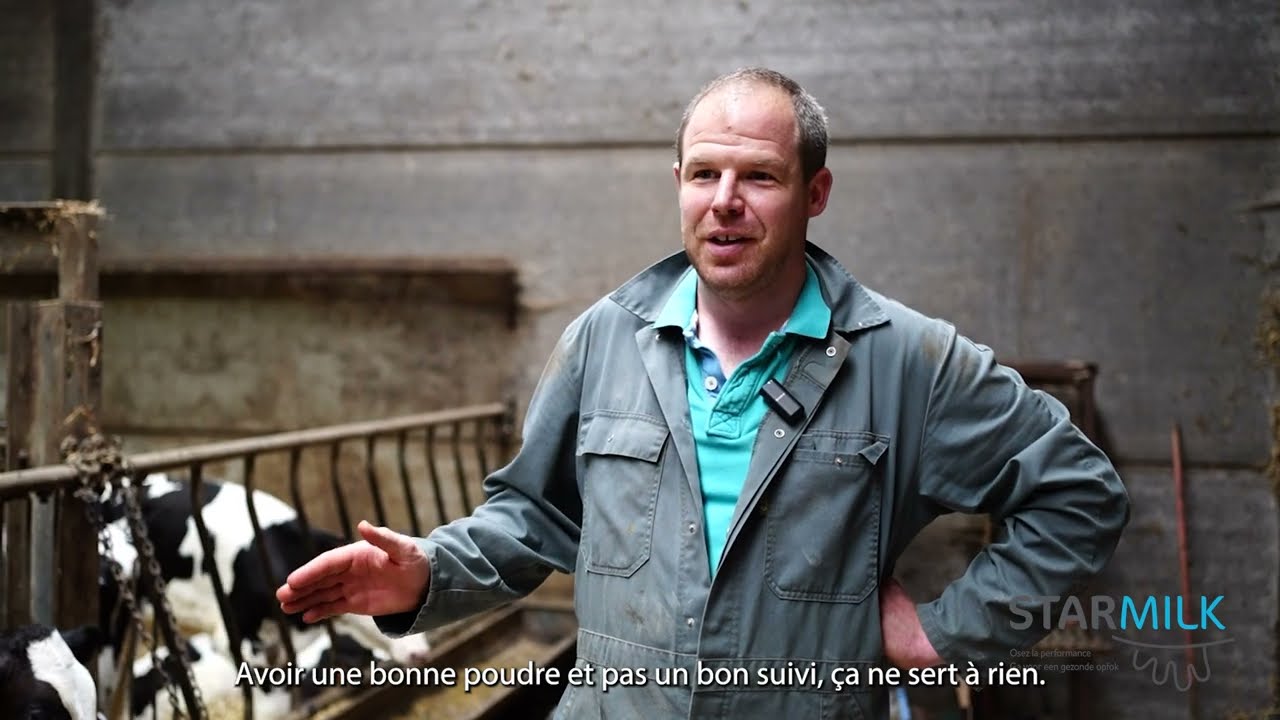 Performance optimale en veaux laitiers avec Starmilk HP For Milk