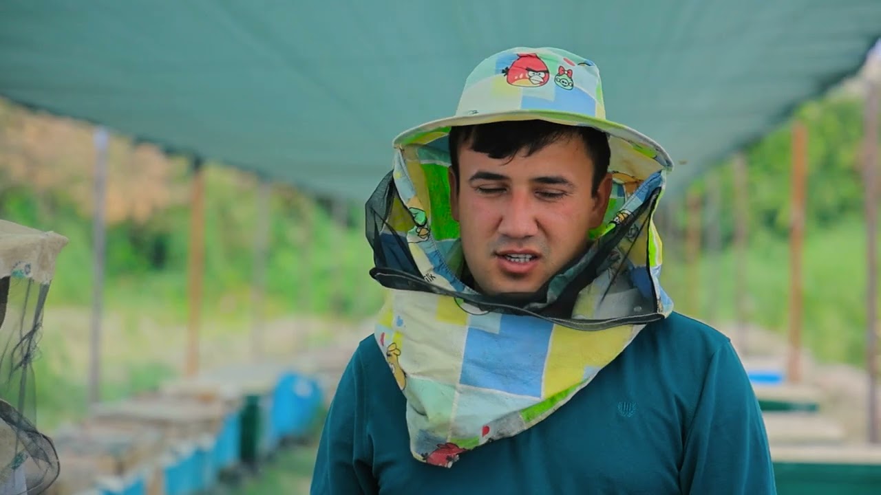 🐝Mehnat va tashabbus–muvaffaqiyat kaliti! 250 quti asalari parvarish qilayotgan yosh #buxoroyoshlari