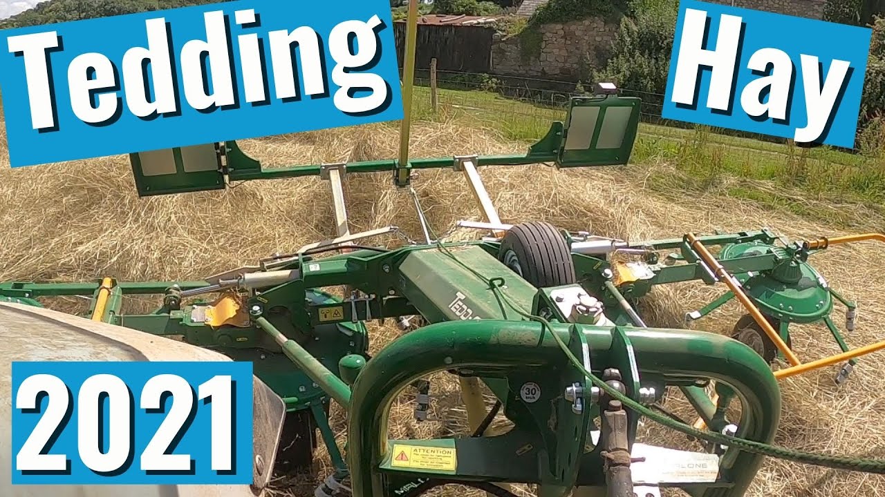 Tedding Hay with our new Malone Ted-Air 570 Tedder. Grass fed cows need winter feed