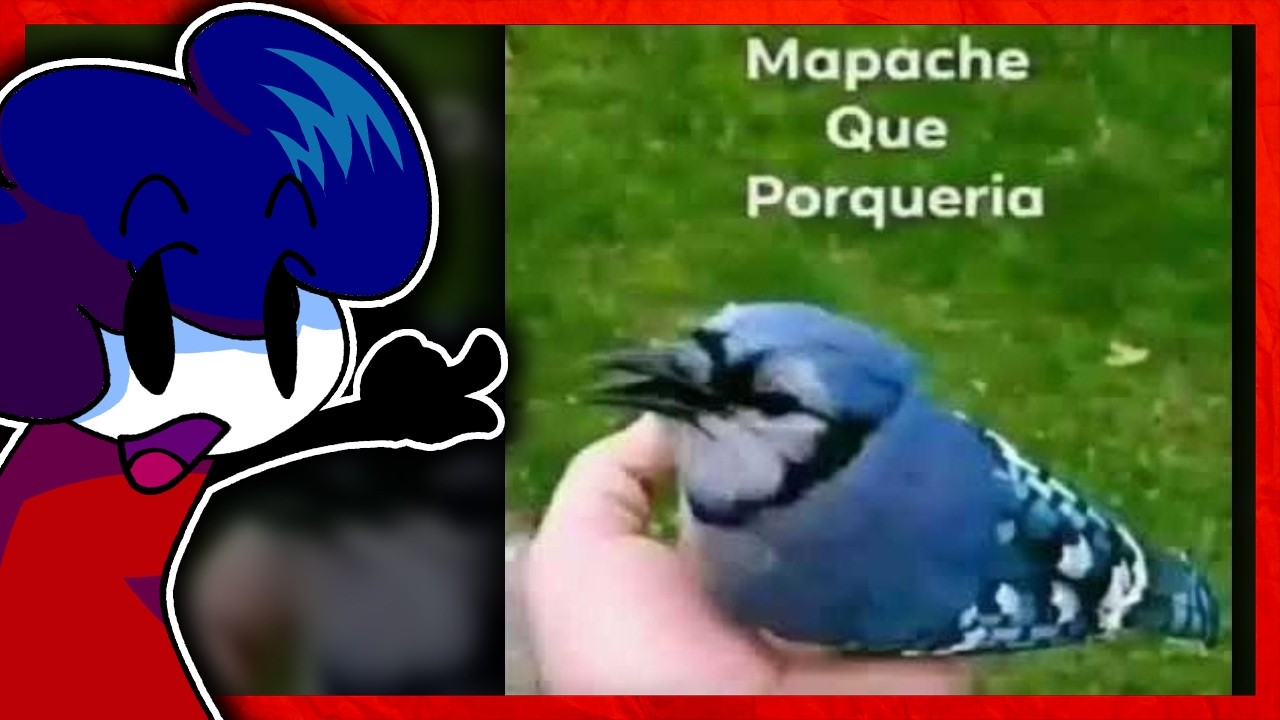 MEMES DE DISCORD ✅ JUGANDO CON EL CHAT ✅ | FerChocolatada Stream