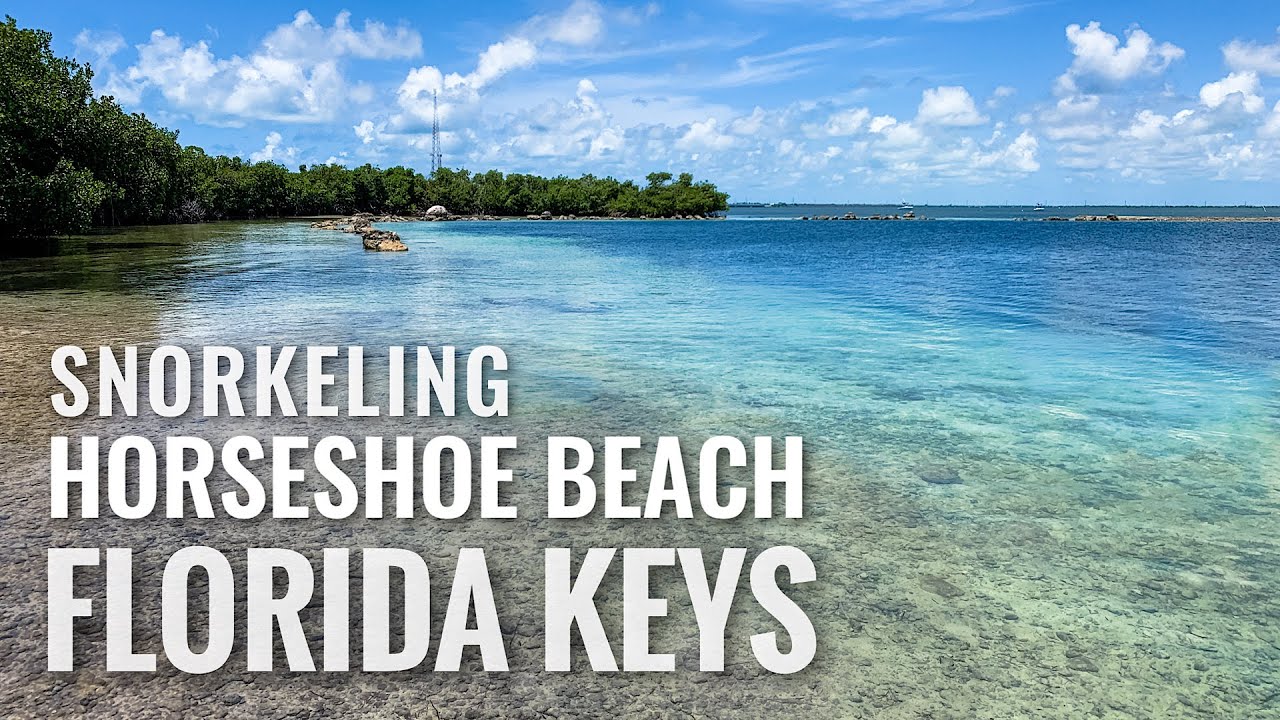 Snorkeling FLORIDA KEYS Horseshoe Beach in Big Pine Key [4K]