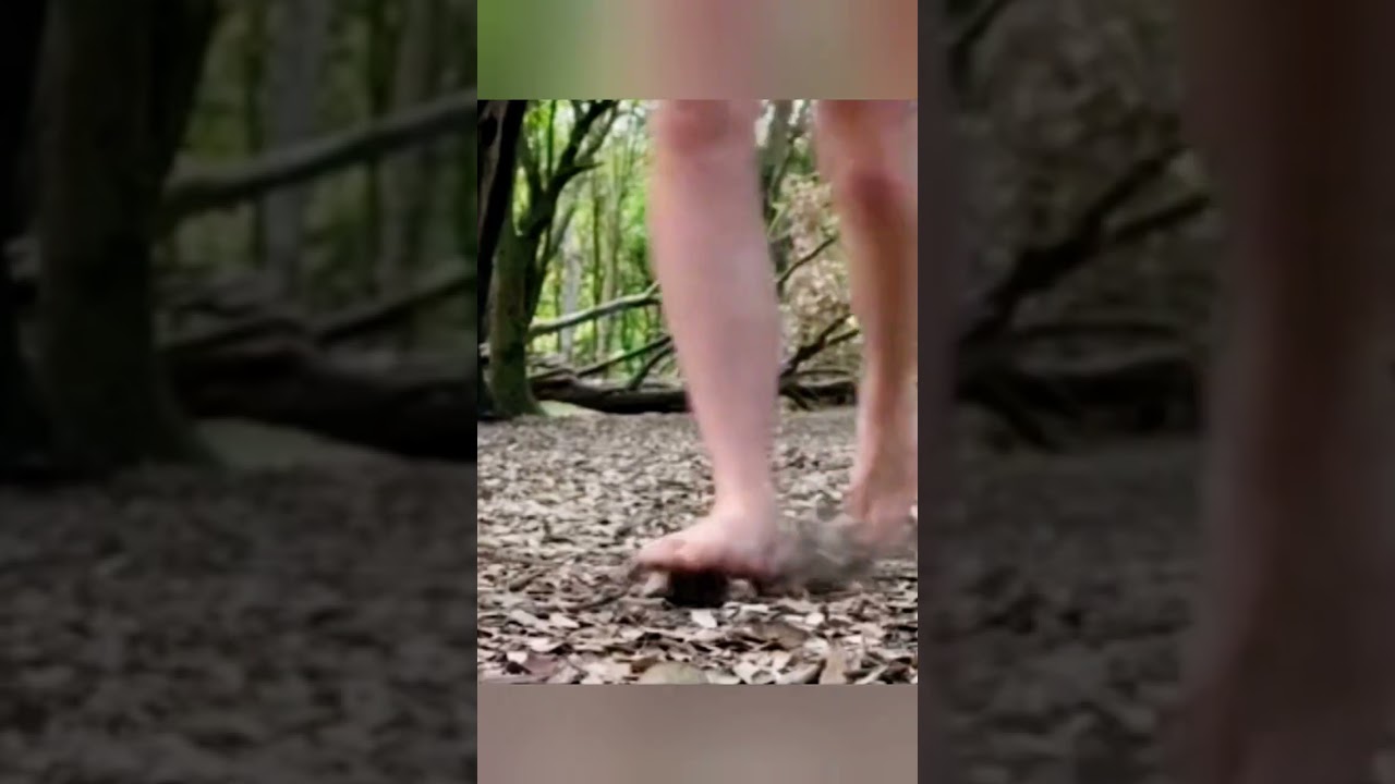 videos que puedes sentir.