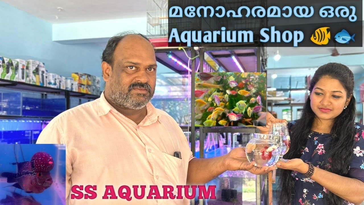 🐟🦞🦐വർക്കലയിൽ ഉള്ള മനോഹരമായ aquarium shop - SS AQUARIUM 🤩 | pet shop malayalam | ornamental fishes🐠
