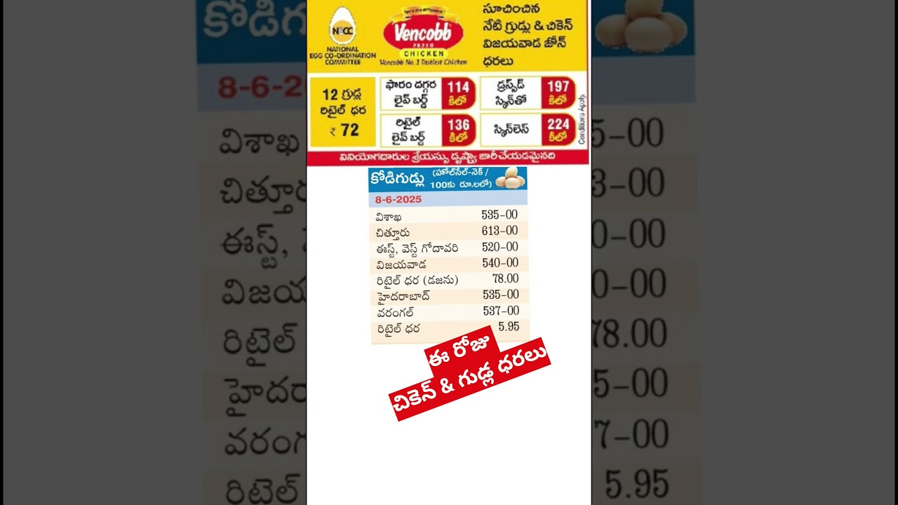 Today Chicken Rate | | Chicken Rate Today | #chickennews