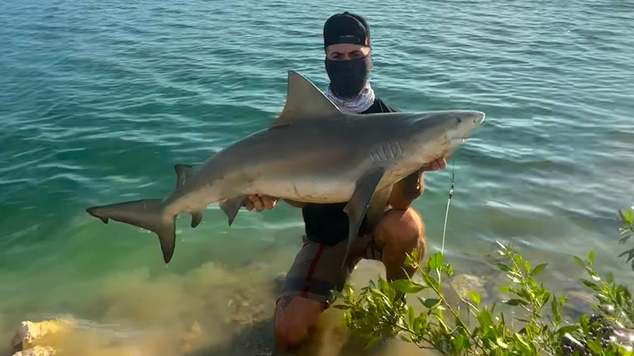 Bull Shark Caught In SunWest Park Lake, Hudson, FL