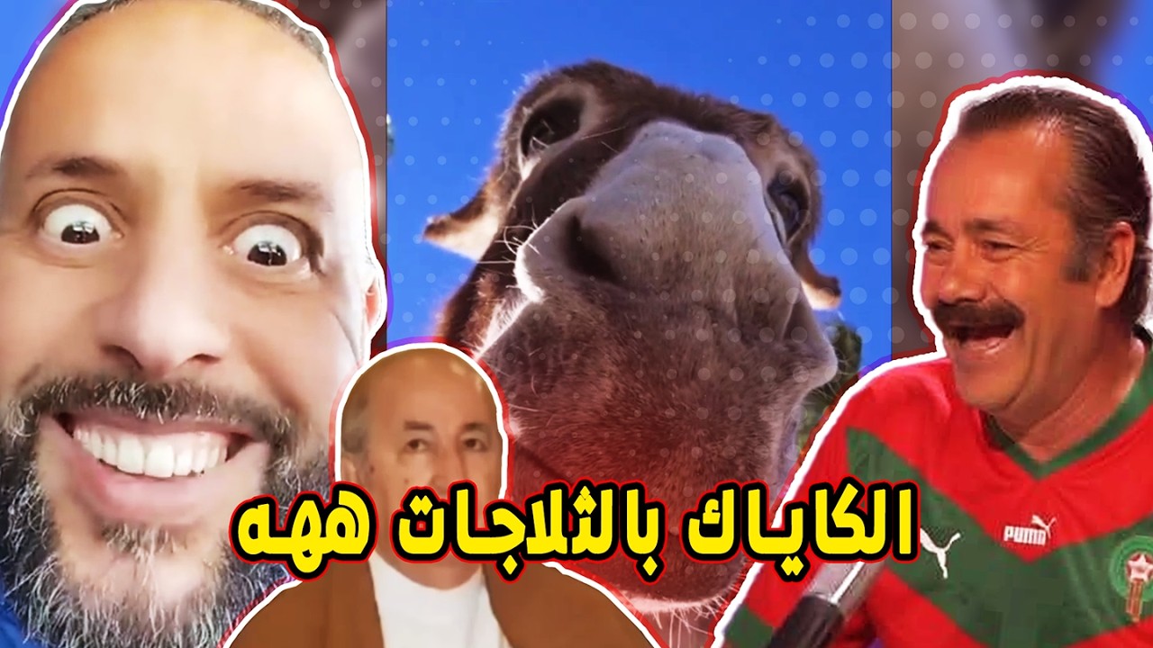 جيب ليا أيفون ههه: 🤯 مفاوضات مدريد و الفرق بين الحمار العادي و المخطط برك 🦆 ههه (ميمز مغربي) 🤣🤣🔥