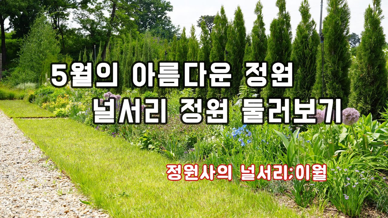 영국식 보더가든의 5월은 어떤 모습일까요? _정원사의널서리;이월