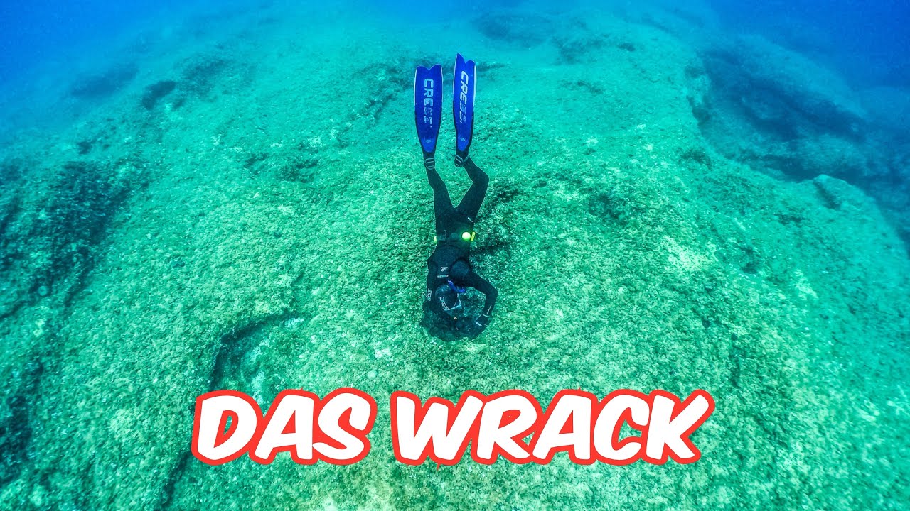 Das Wrack + der 1120 Euro Fisch | Freediving Club - Kroatien 2023 | Freitauchen mit Apnea Planet