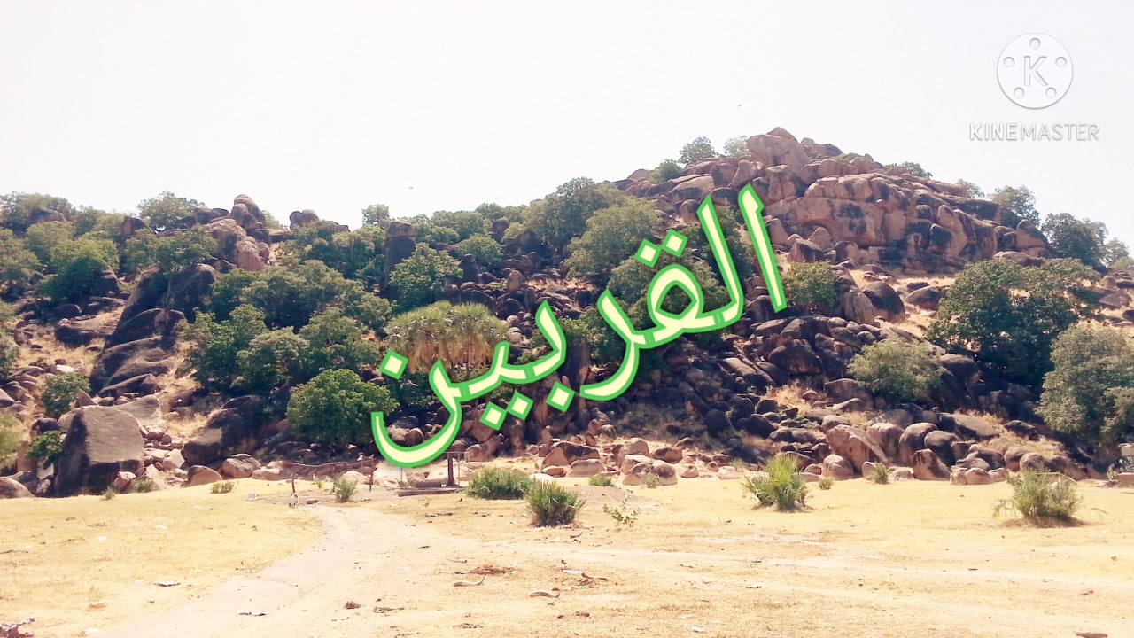 محلية الدالي والمزموم 2020