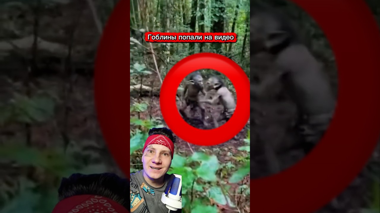 Я пожалел что посмотрел это #shorst