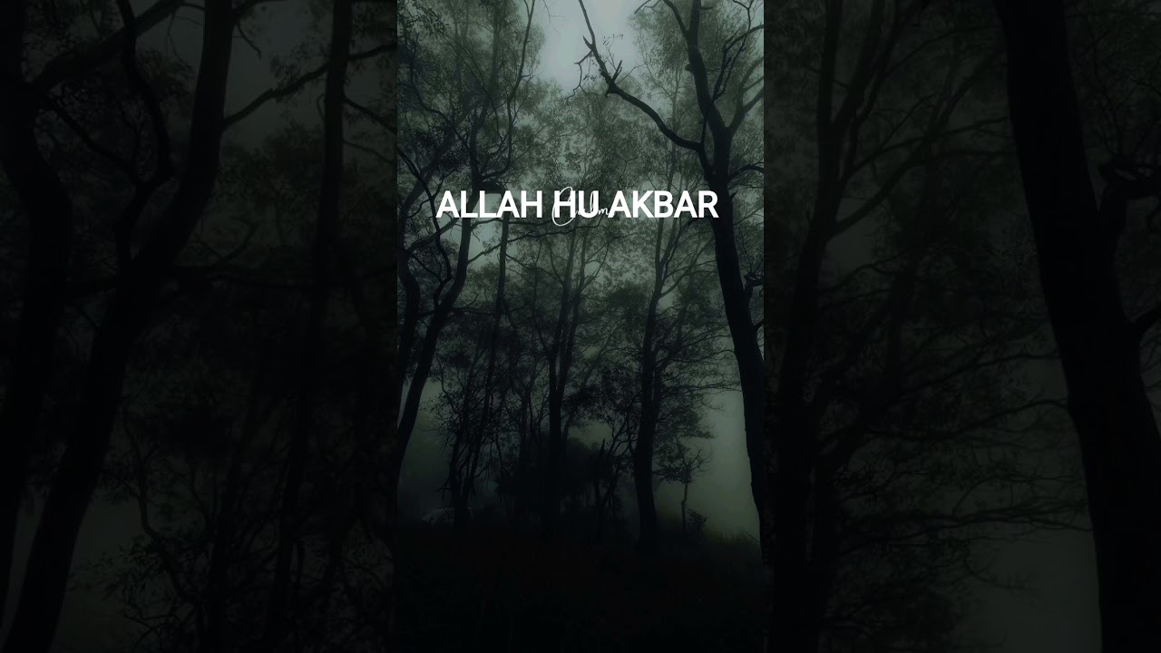 Quran translation #tarjamah #holybook