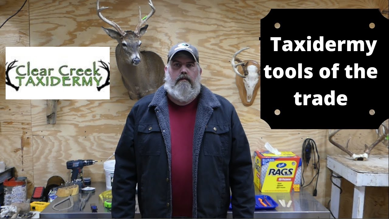 Taxidermy tools of the trade