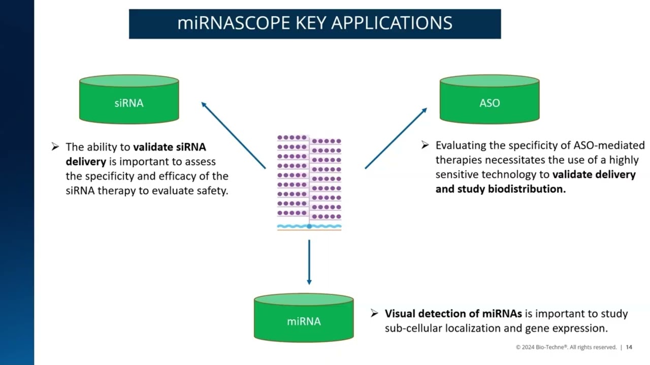 Spatial Visualisation Tool for RNAi and Oligonucleotide-Based Therapies | Webinar Recording