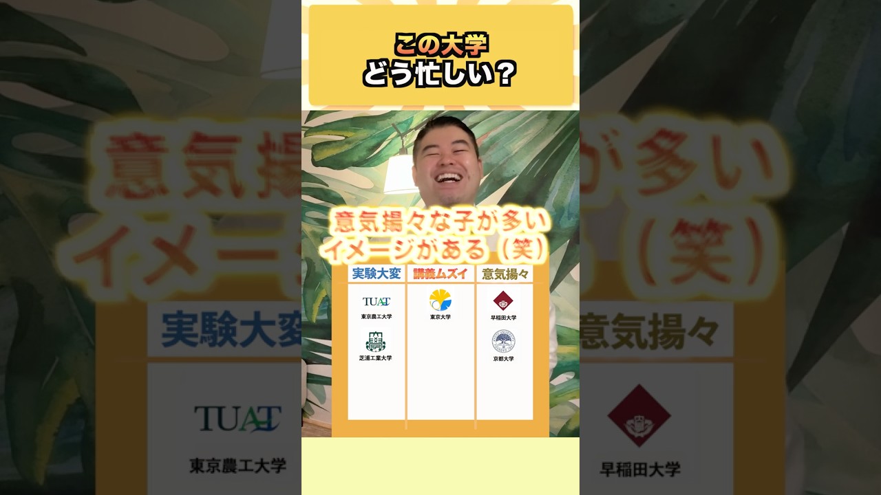 この大学、どう忙しい？#コバショー #大学受験 #shorts #東大 ＃早稲田