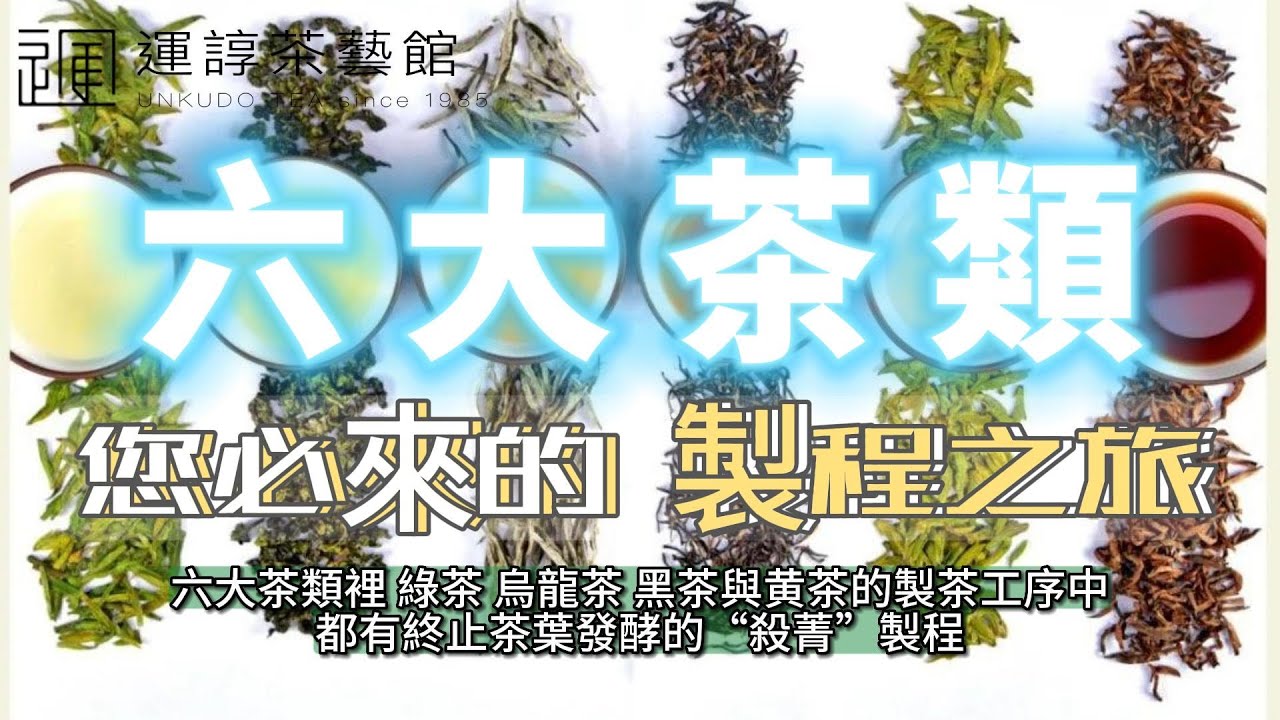 六大茶類｜您必來的製程之旅