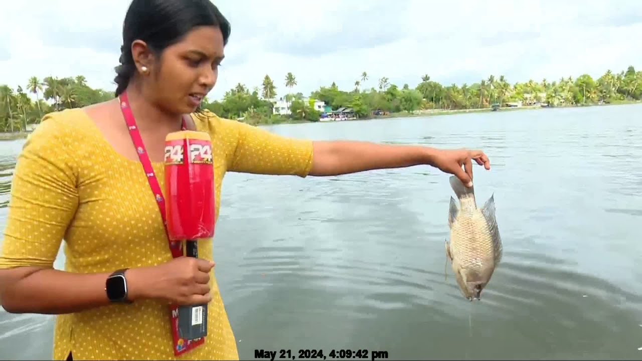 പെരിയാറിൽ മീനുകളുടെ കൂട്ടക്കുരുതി; വെള്ളത്തിൽ രാസമാലിന്യം അടങ്ങിയ പാട എങ്ങനെ രൂപപ്പെട്ടു ?