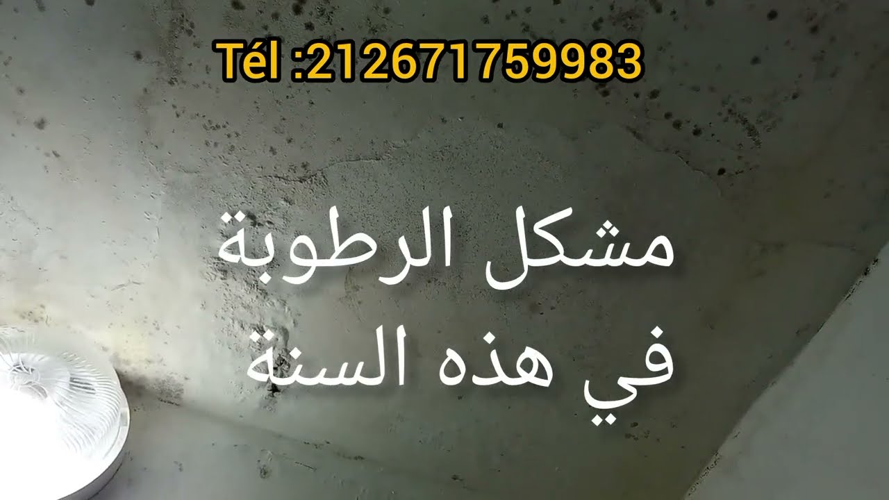 #مشكل الرطوبة- في هذه السنة -الحالية