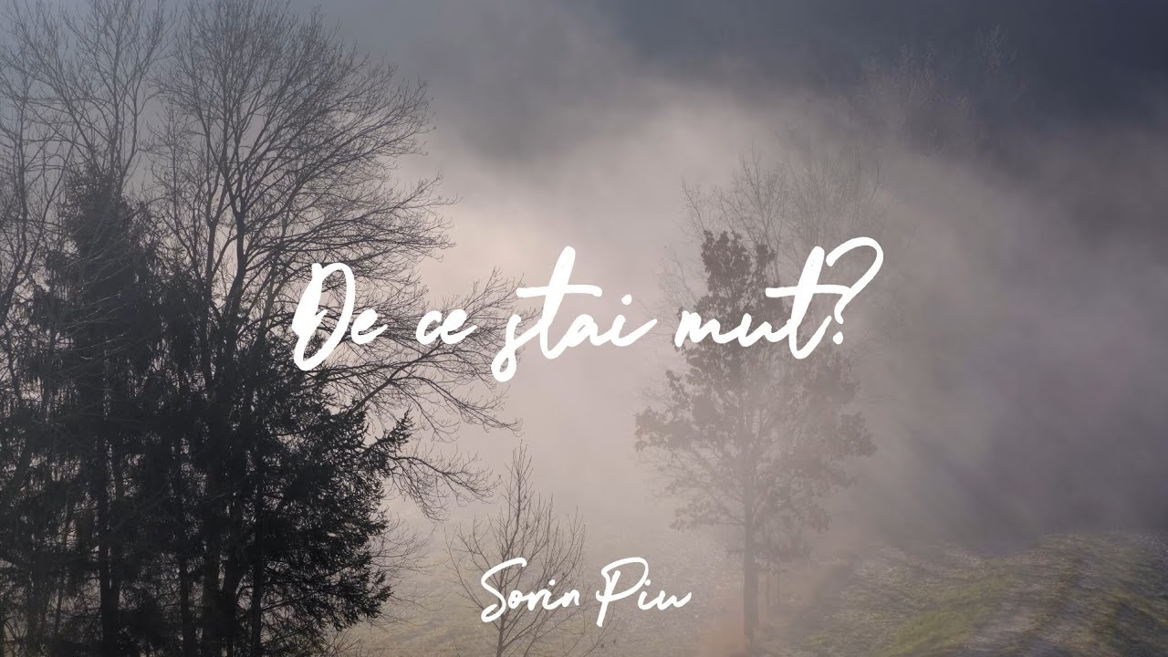 Sorin Piu • De ce stai mut // Official video 2024