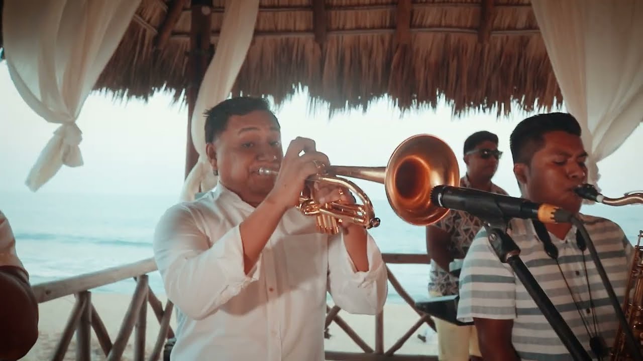 Locochón · Su Meneo (Live) · Nemesys Los Reyes