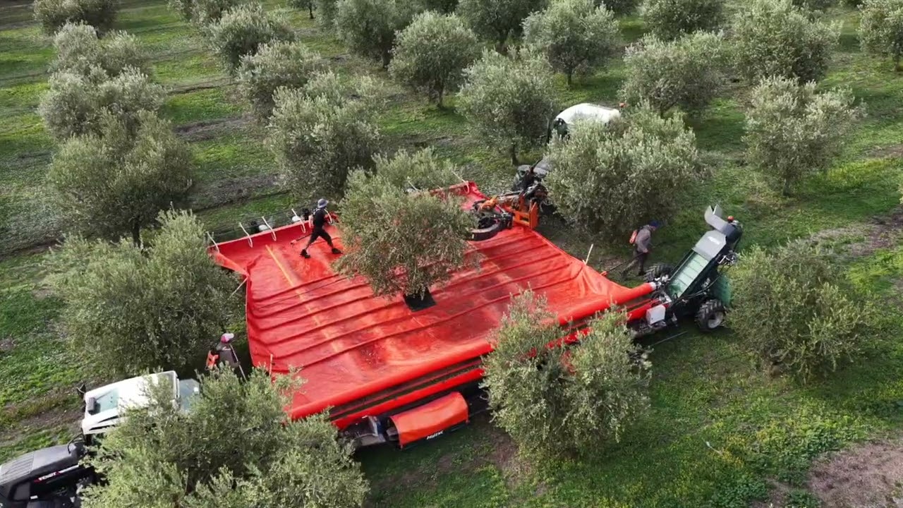 Front-mounted shakerTractor-mounted FB80 | PELLENC