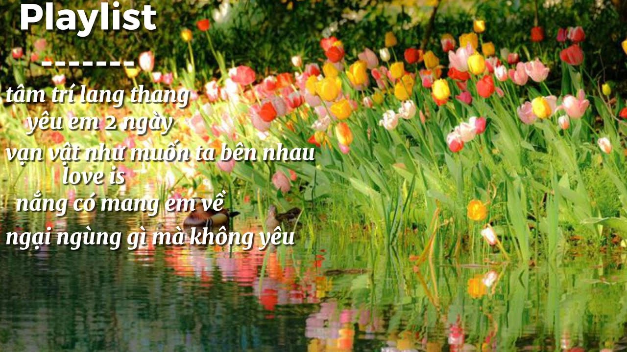 𝐏𝐥𝐚𝐲𝐥𝐢𝐬𝐭 này giúp cậu manifest tình yêu đẹp như lời bài hát | 