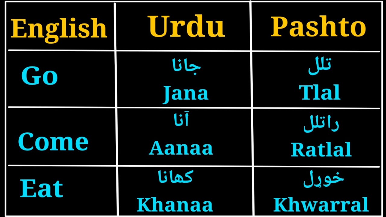 Learn Pashto Common Verbs | English Urdu Pashto Lesson