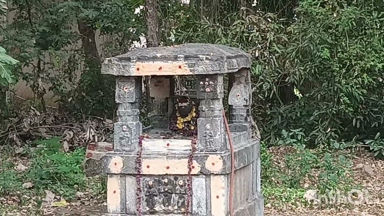 Arunachala girivalam- Nandi Thiruvannamalai